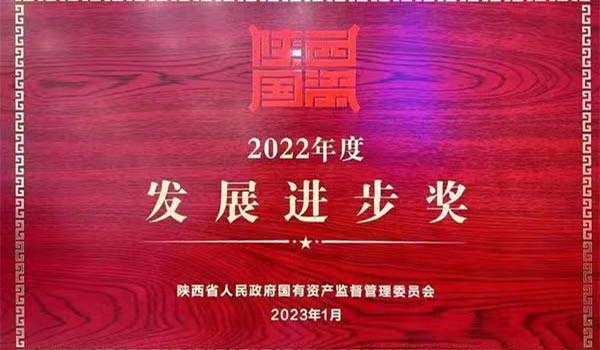 陜外集團榮獲陜西省國資系統(tǒng)2022年度“發(fā)展進步獎”